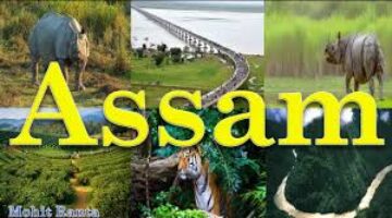 Best Hill Station is Assam
