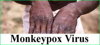  monkeypox pictures
