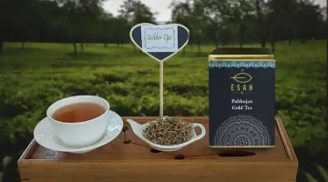 Assam में चाय बेचा, 1 लाख रुपये प्रति किलो! सबसे ऊंची बोली कीमत – Esah Tea ने खरीदी पाभोजन गोल्ड टी