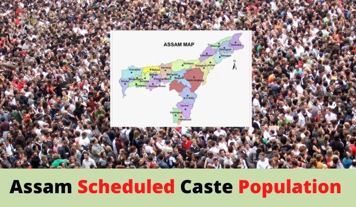 Scheduled Caste Population in Assam