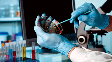 Biomed Silchar Diagnostic, Services, Reports, Phone Number